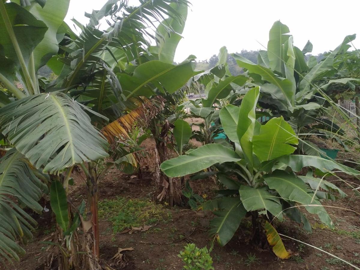 Jandyal Farm House Malshej Ghat Bagian luar foto