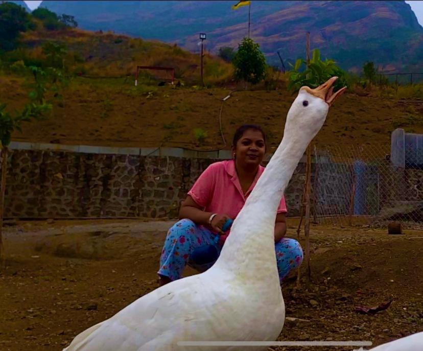 Jandyal Farm House Malshej Ghat Bagian luar foto