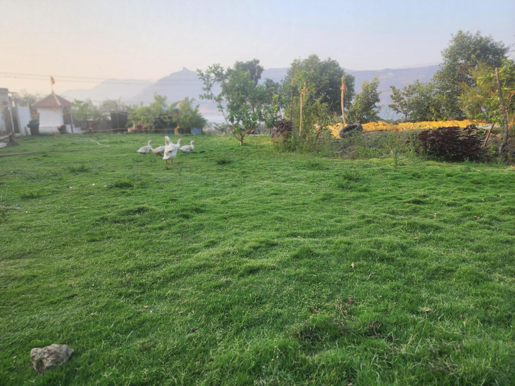 Jandyal Farm House Malshej Ghat Bagian luar foto